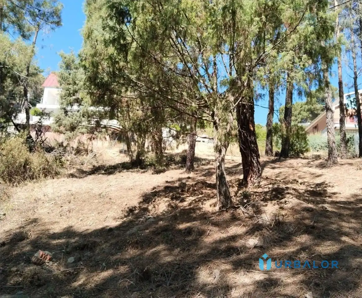 Terreni e lotti in vendita a Nervión, imagen 17