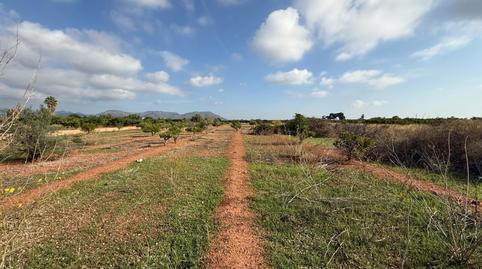 Photo 5 of Land for sale in Polígono 27, 129, El Puig, Valencia