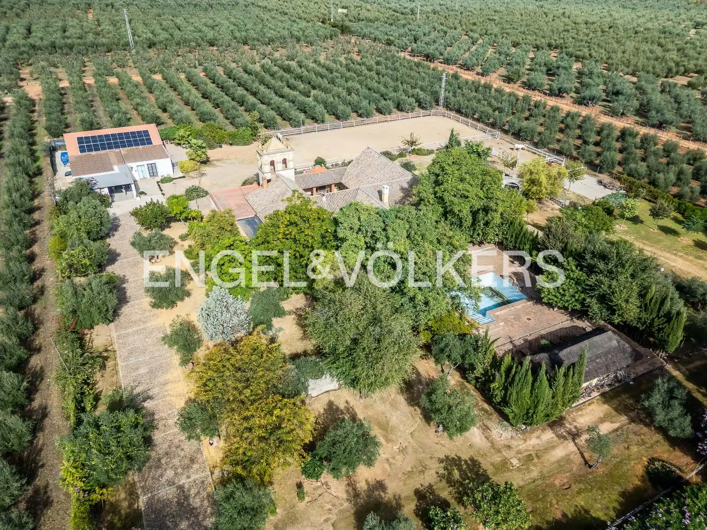 Maison avec jardin à vendre à Bollullos de la Mitación, imagen 4