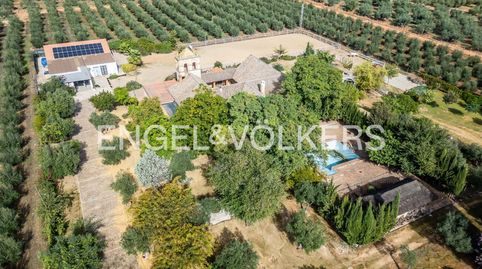 Foto 4 de Casa o chalet en venta en Bollullos de la Mitación, Sevilla