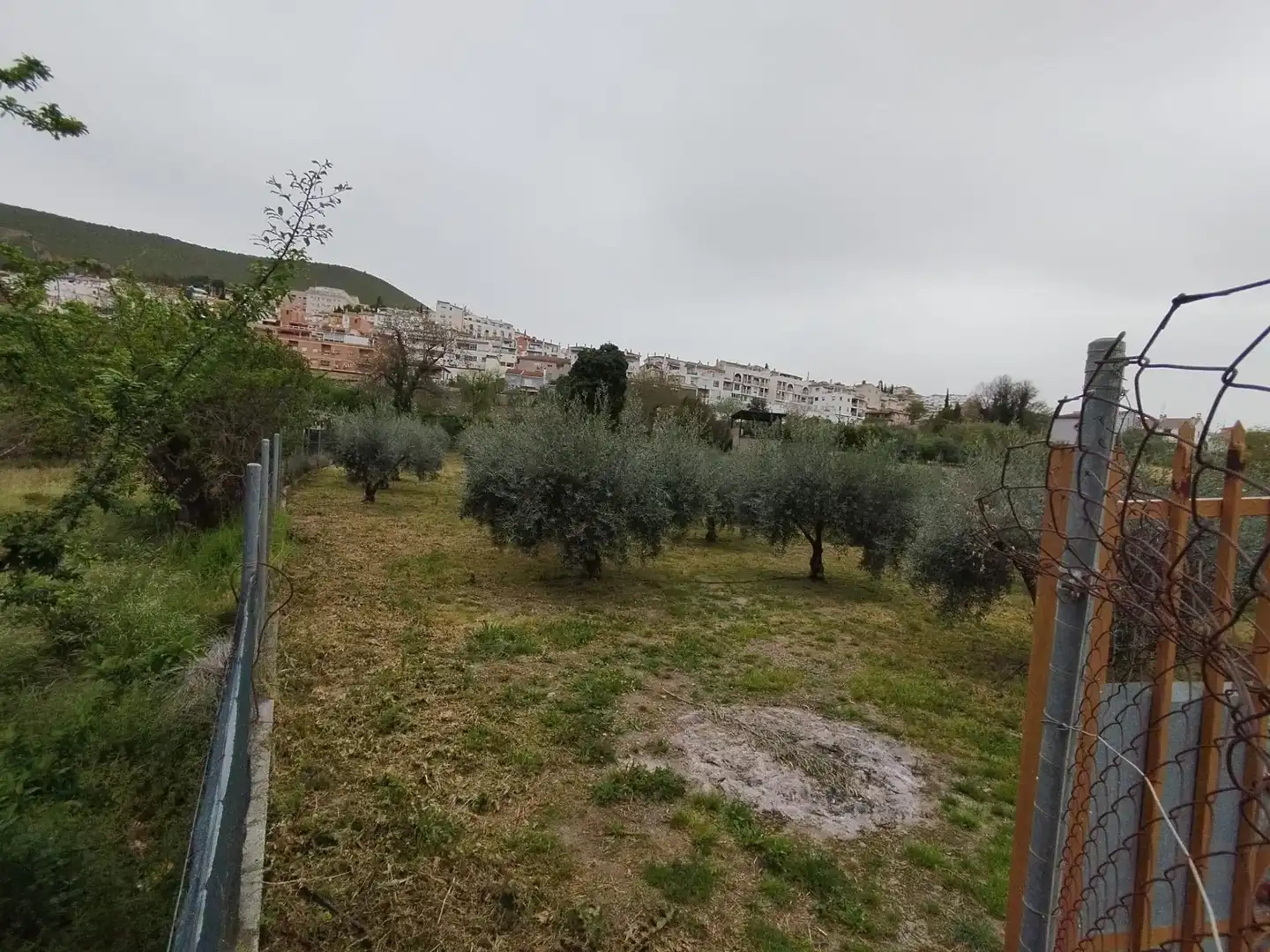 Terreni e lotti in vendita a Carretera Cenes de la Vega, imagen 7
