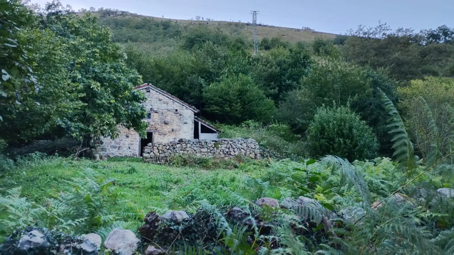 Terrain rustique à vendre à Cosío - PRAUCOS