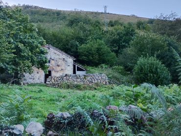 Rural land for sale in Cosío - PRAUCOS