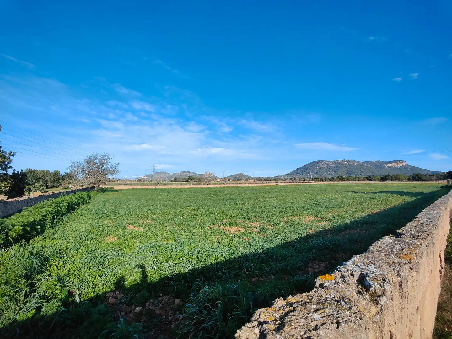 Terreno en venta en Llucmajor