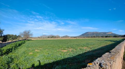 Photo 2 of Land for sale in Llucmajor pueblo, Illes Balears