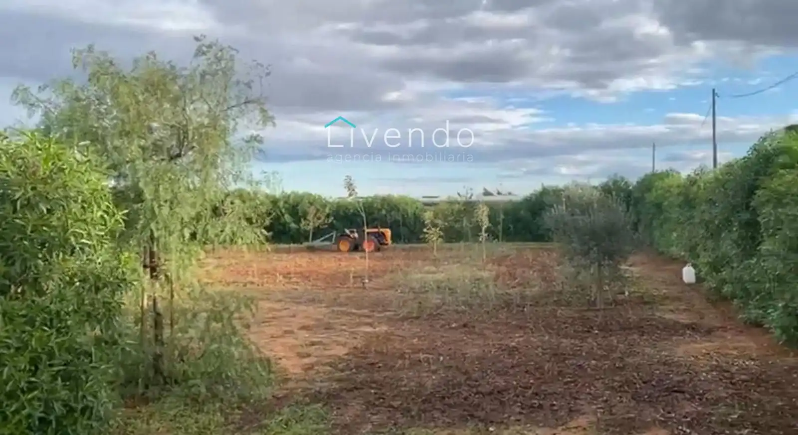 Terreny en venda en Conil de la Frontera
