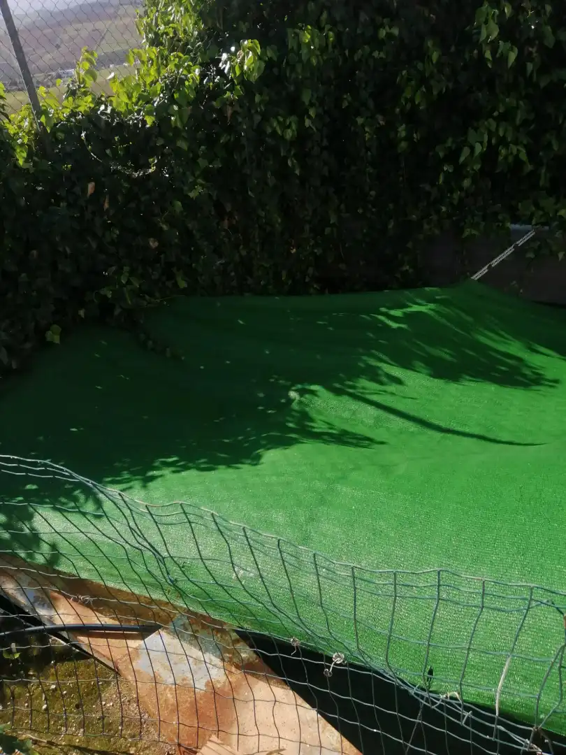 Jardí de Casa o xalet en venda en Cártama amb Jardí privat, Terrassa i Piscina