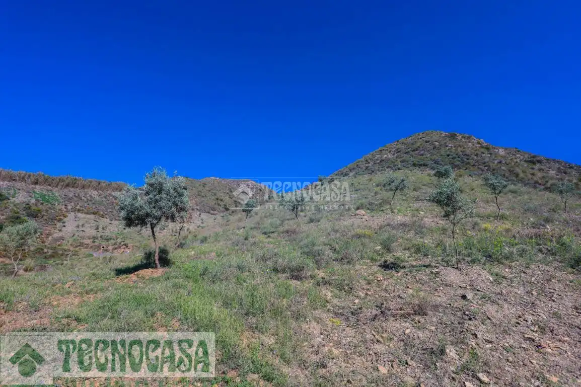 Terreny rústic en venda a Adra, imagen 4