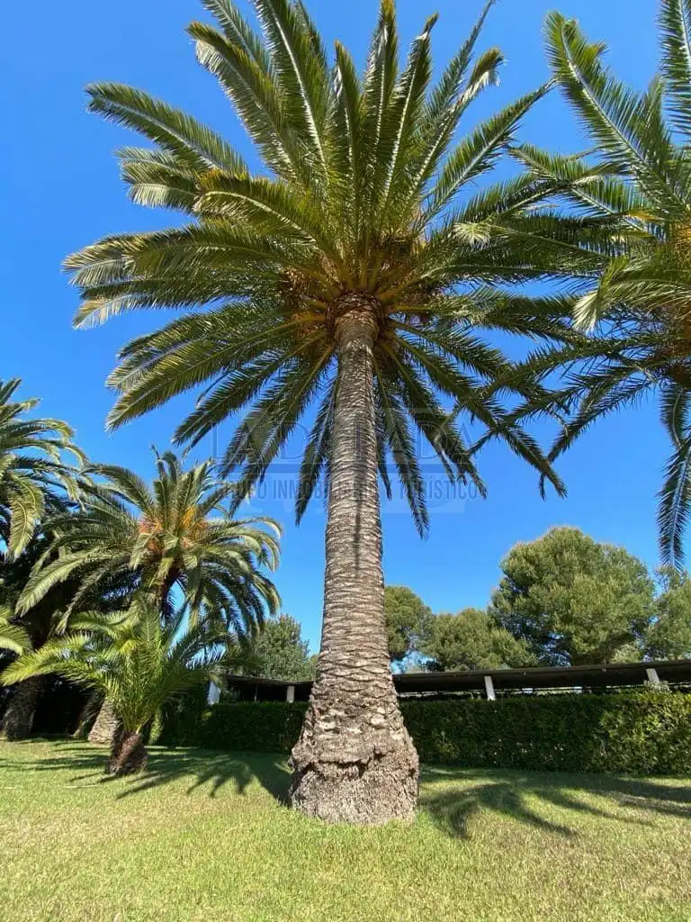 Wohnung zum Verkauf in Vilafortuny Platja