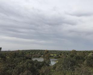 Finca rústica en venda en Paterna del Campo