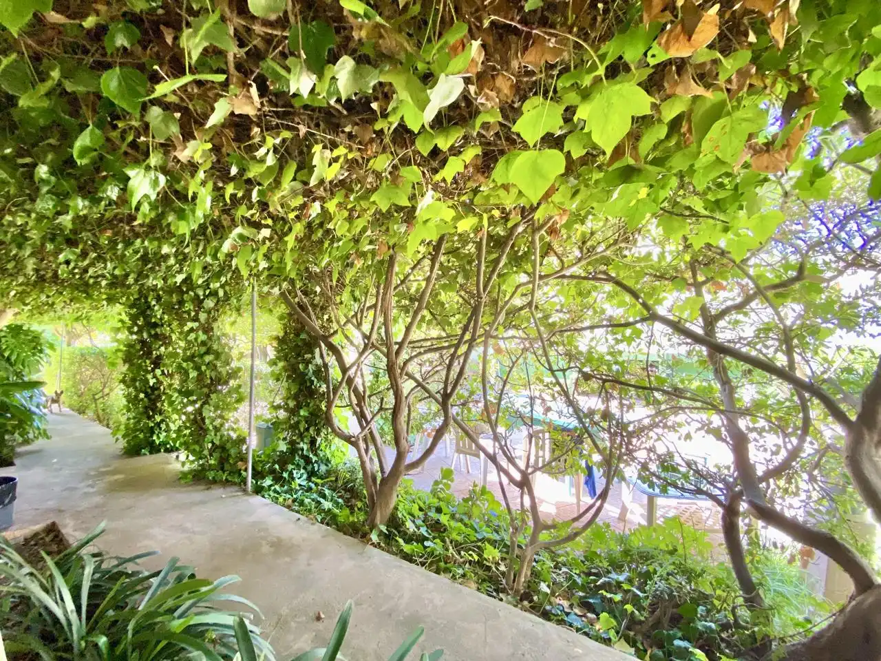 Terrasse von Haus oder Chalet zum Verkauf in  Palma de Mallorca mit Privatgarten, Terrasse und Abstellraum