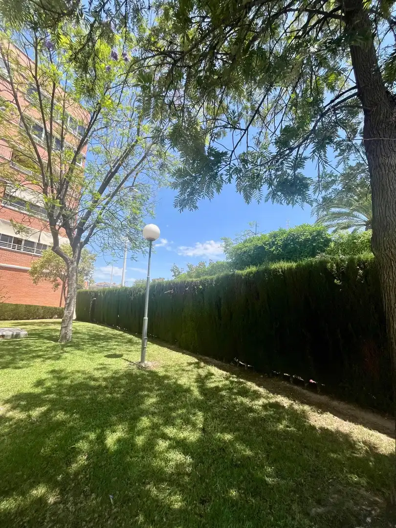 Maison mitoyenne avec terrasse à vendre à Calle Pediatra Don Andrés Bru Ibarra, imagen 46