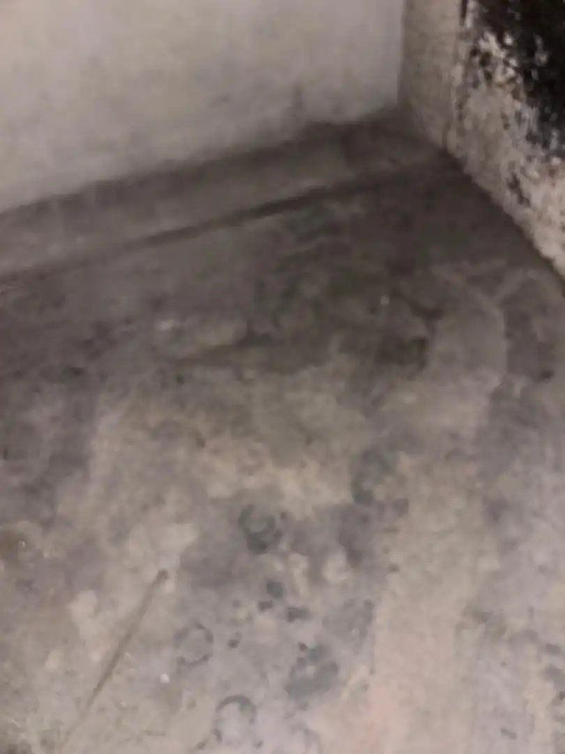 Gewerbefläche zur Miete in Calle Sierra del Espartal, imagen 13