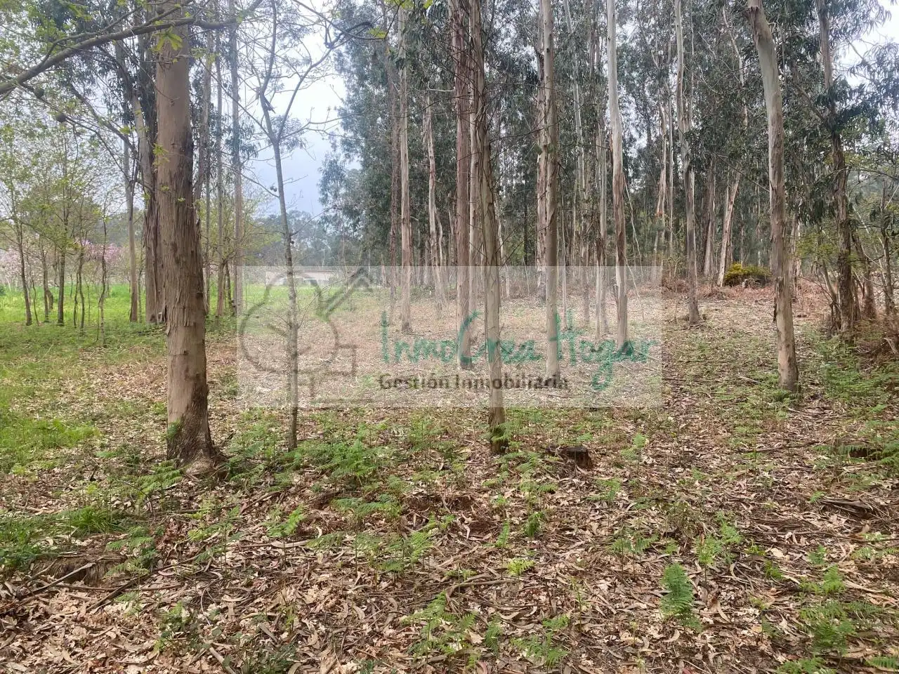 Lands and plots for sale in Salceda de Caselas, imagen 8