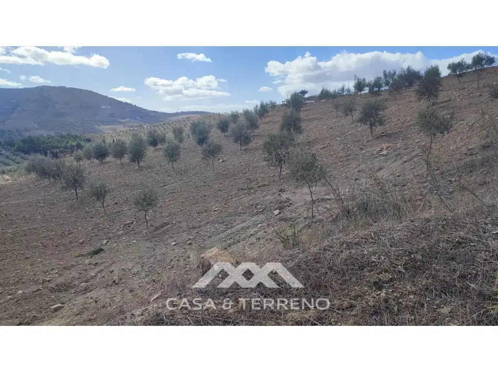 Terreni e lotti in vendita a Polígono 174 Parcela, imagen 16