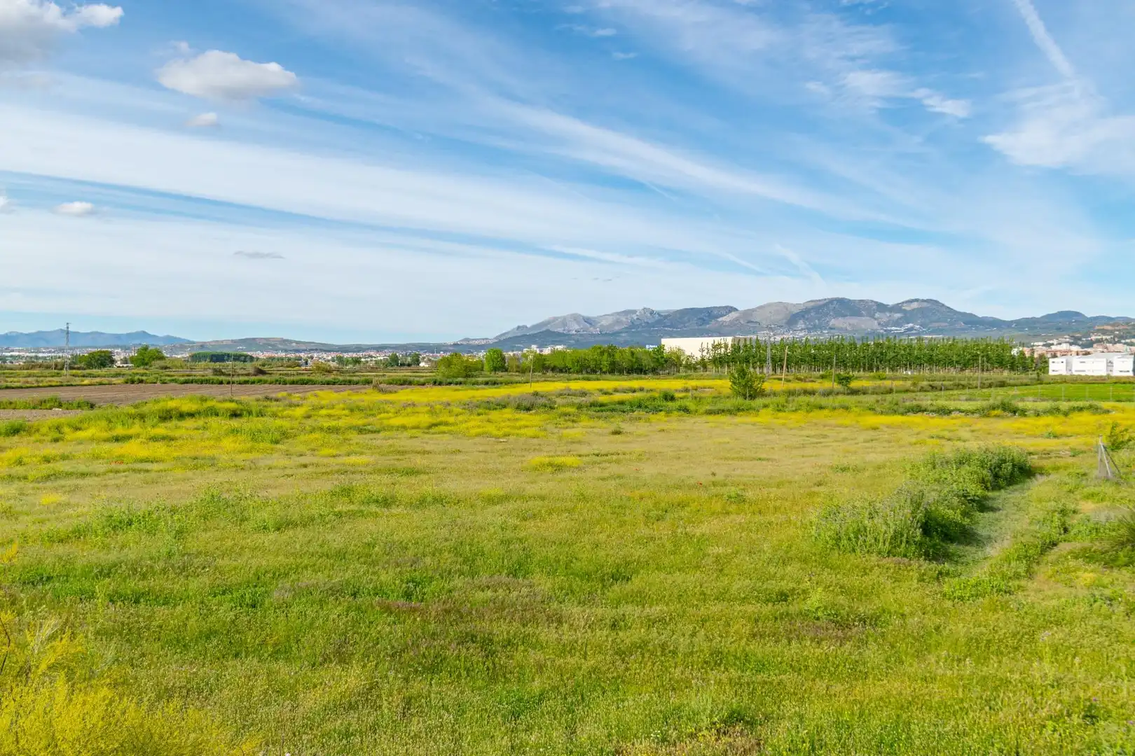 Lands and plots for sale in Polígono 9 Parcela 307 MARACHAT. GRANADA (GRANADA, imagen 15