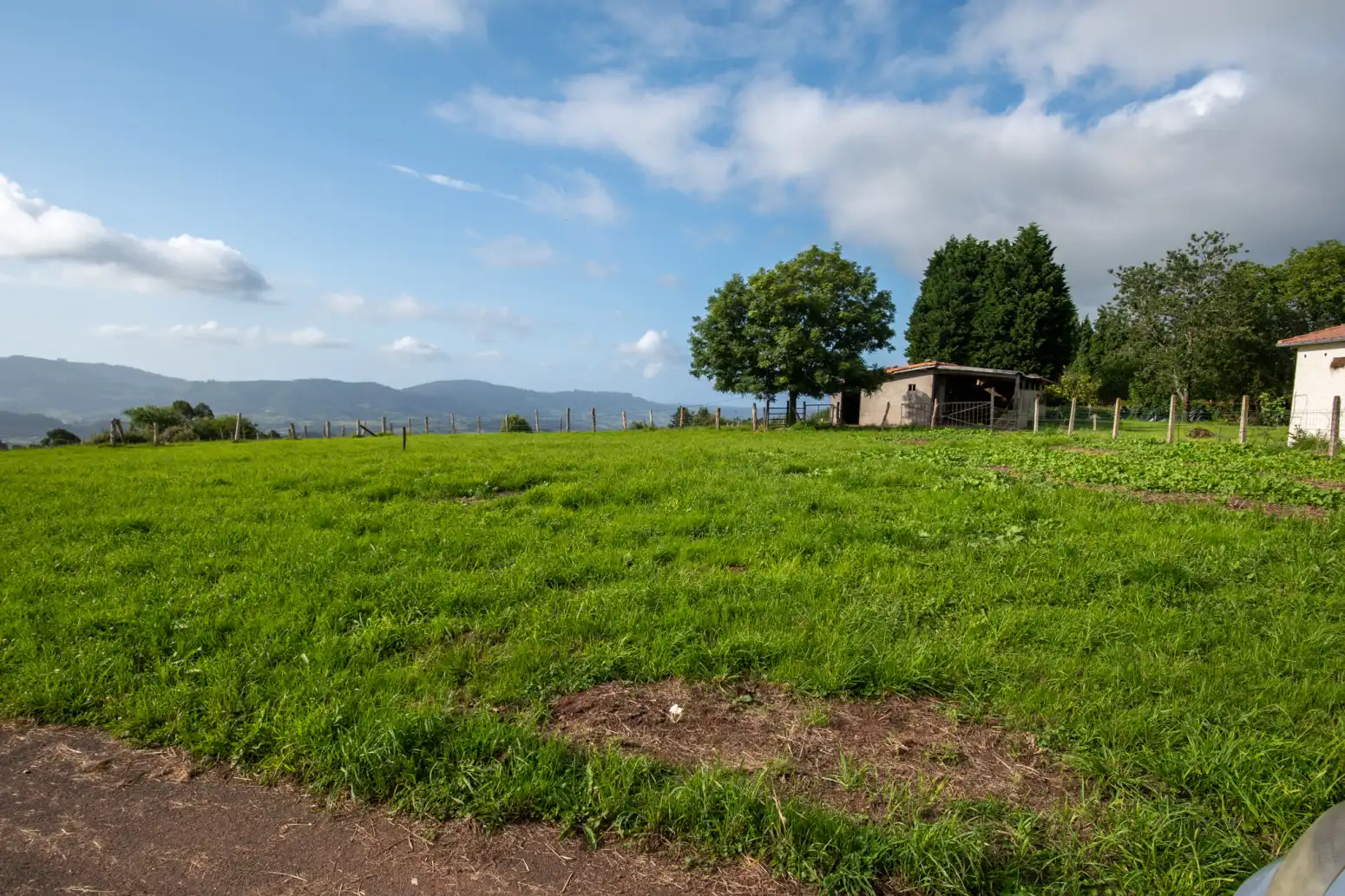 Residential land for sale in Poreño, imagen 3
