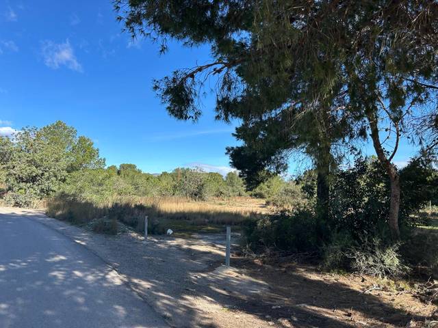 Terreno en Venta en Los Pinares - La Masia