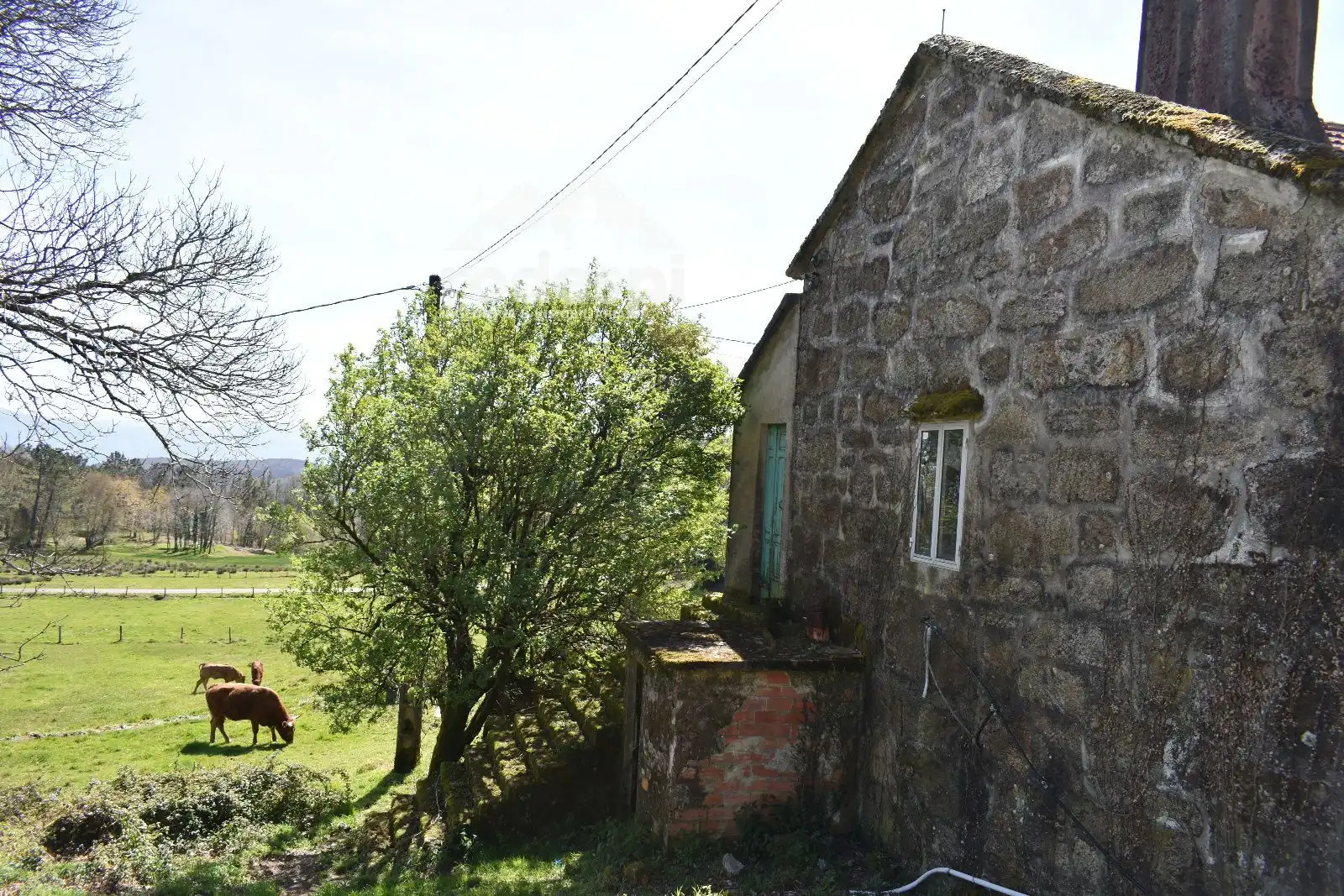 Vista exterior de Casa o xalet en venda en A Cañiza   amb Traster