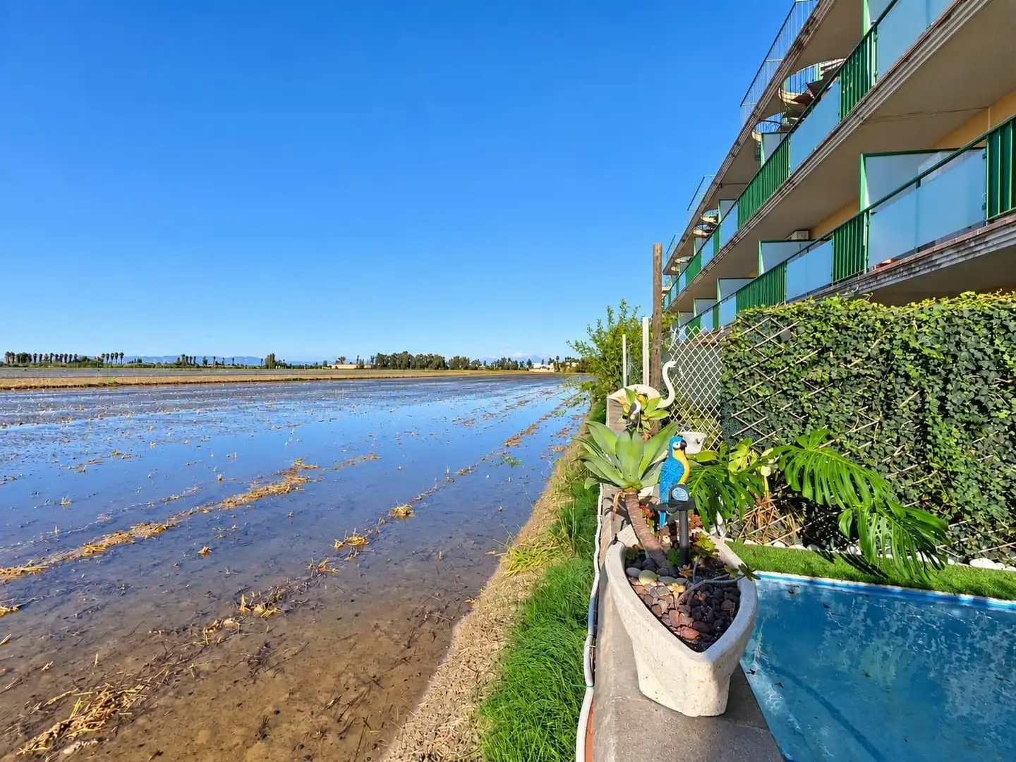 Appartement compact avec jardin à vendre à Calle EUCALIPTUS, imagen 36