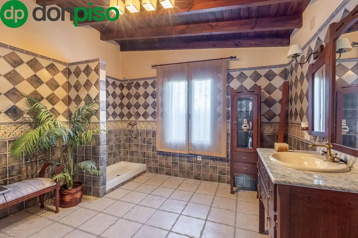 Villa mit Garten zum Verkauf in DISEMINADOS, imagen 10