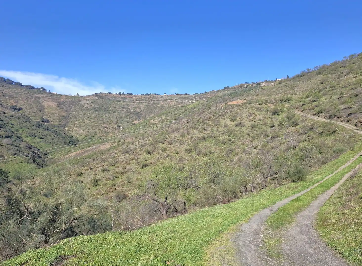 Vista exterior de Finca rústica en venta en Colmenar