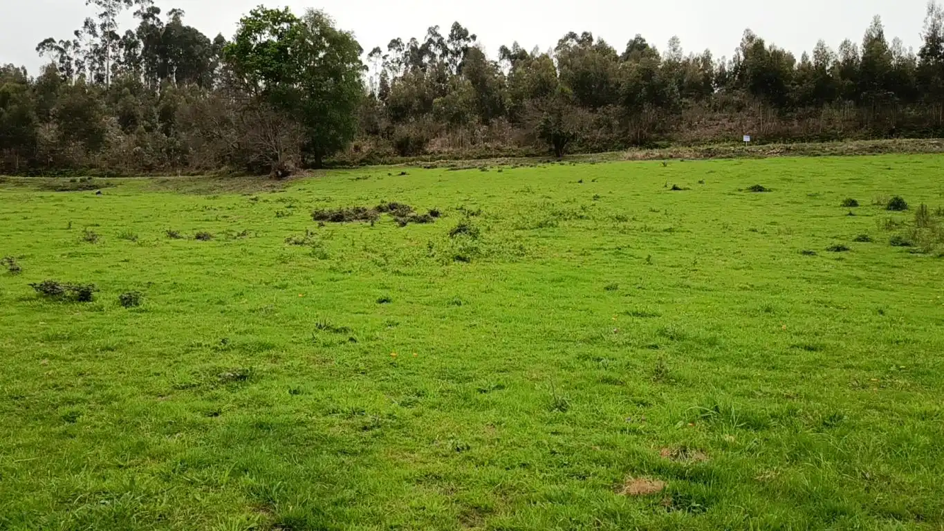 Grundstücke und Bauplätze zum Verkauf in Lugar Laguna, imagen 12