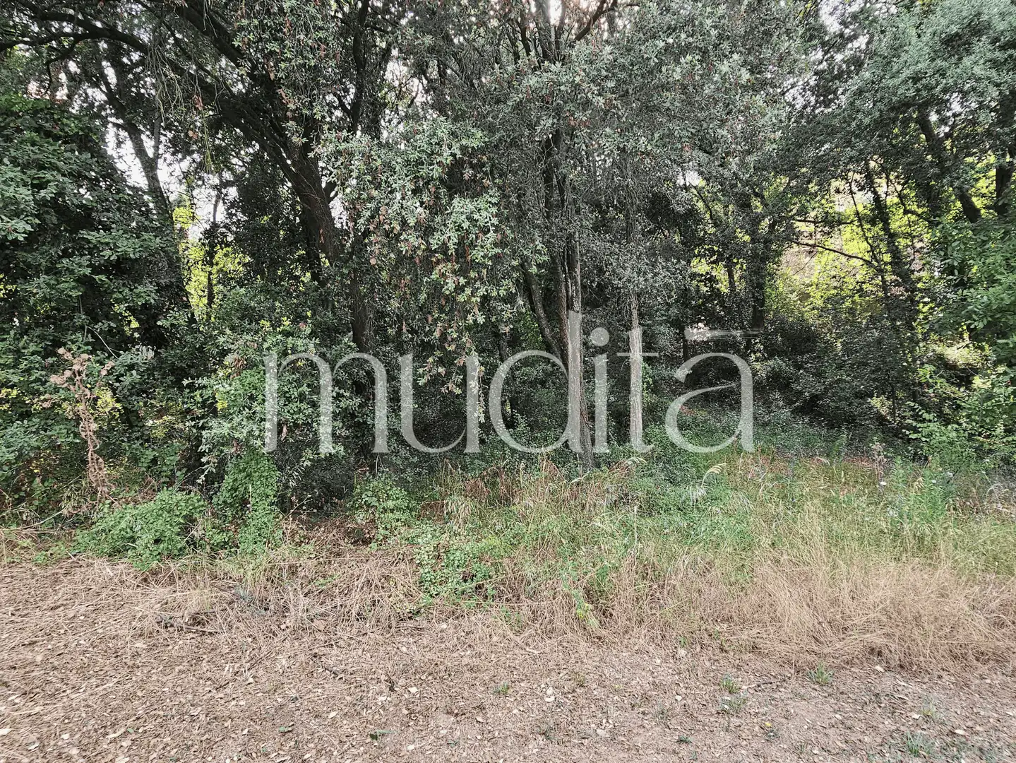 Residential land for sale in del Xaloc, imagen 12