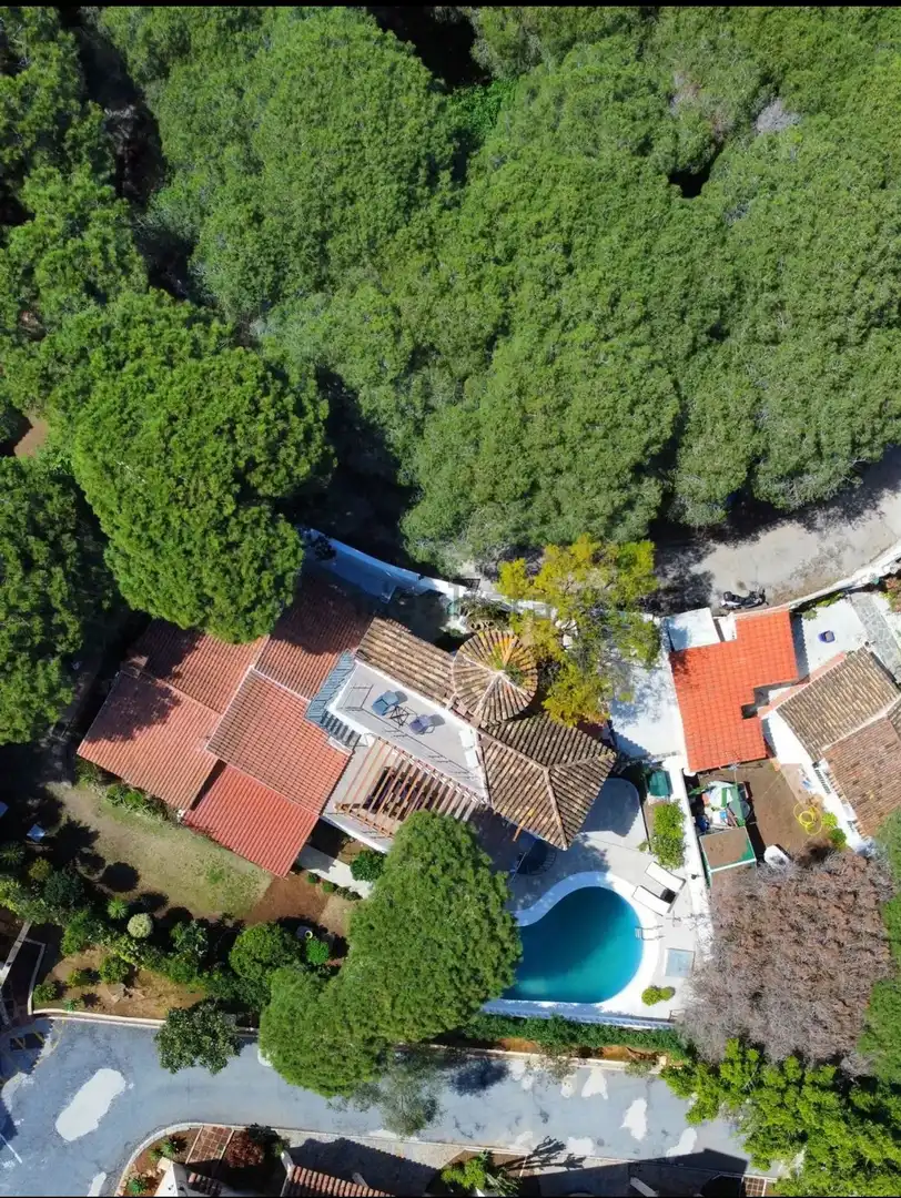 Vista exterior de Casa o chalet de alquiler en Marbella con Aire acondicionado, Calefacción y Jardín privado