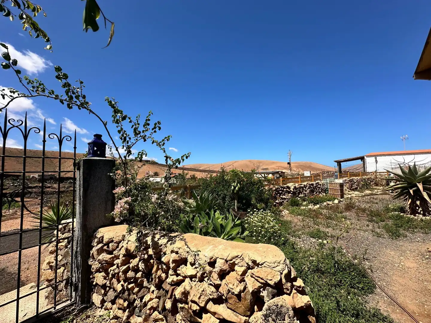 Vista exterior de Finca rústica en venta en Pájara con Jardín privado, Terraza y Trastero