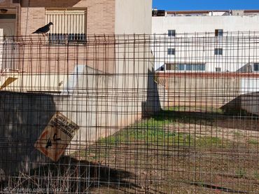 Terreni e lotti in vendita a Silla