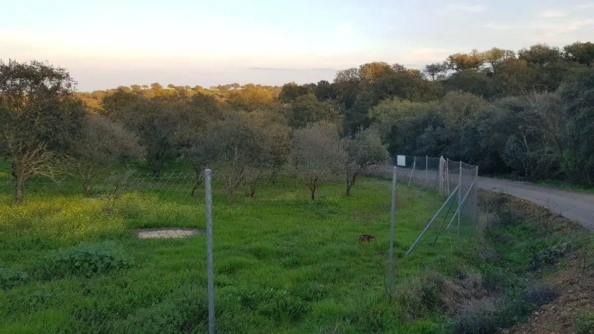 Terreni e lotti in vendita a Calle del Hortelano, imagen 18