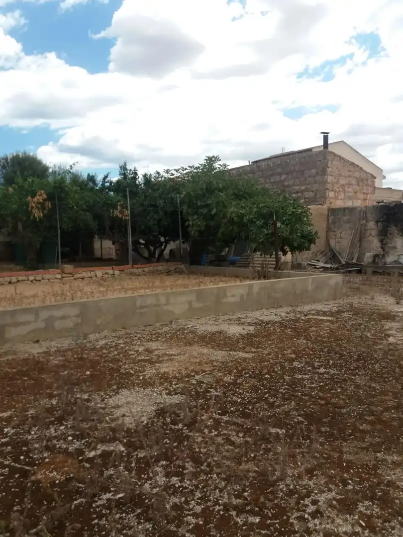 Lands and plots for sale in Sa Pobla, imagen 20