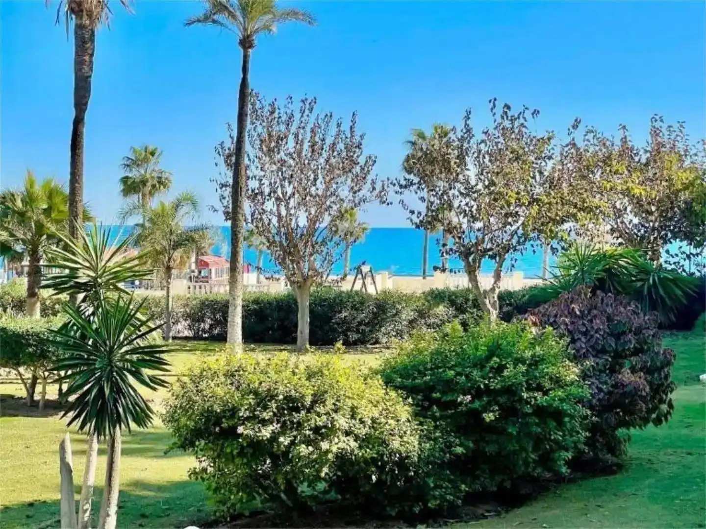 Garden of Attic for rent in Torremolinos  with Air Conditioner, Private garden and Terrace