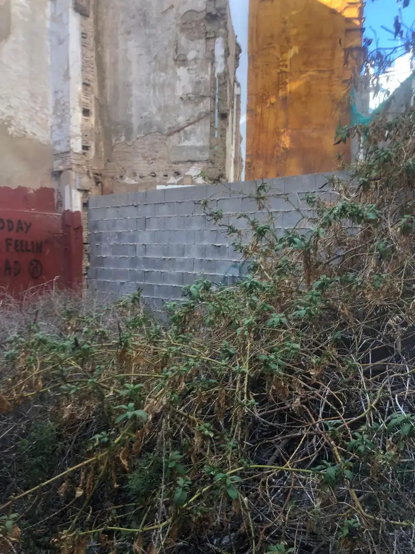 Terreny residencial en venda a Carrer de la Sabateria dels Xiquets, imagen 8