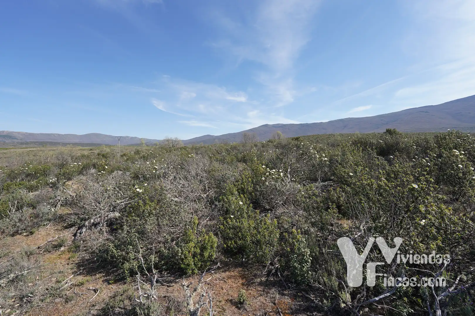 Terreno rústico en venta en Campillo de Ranas, imagen 25