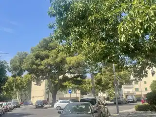 Vista exterior de Pis en venda en  Palma de Mallorca