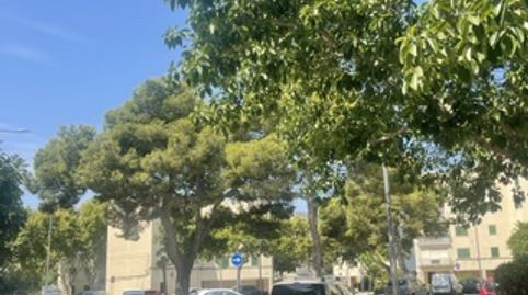 Foto 5 de Pis en venda a Mare de Déu de Lluc, Palma de Mallorca