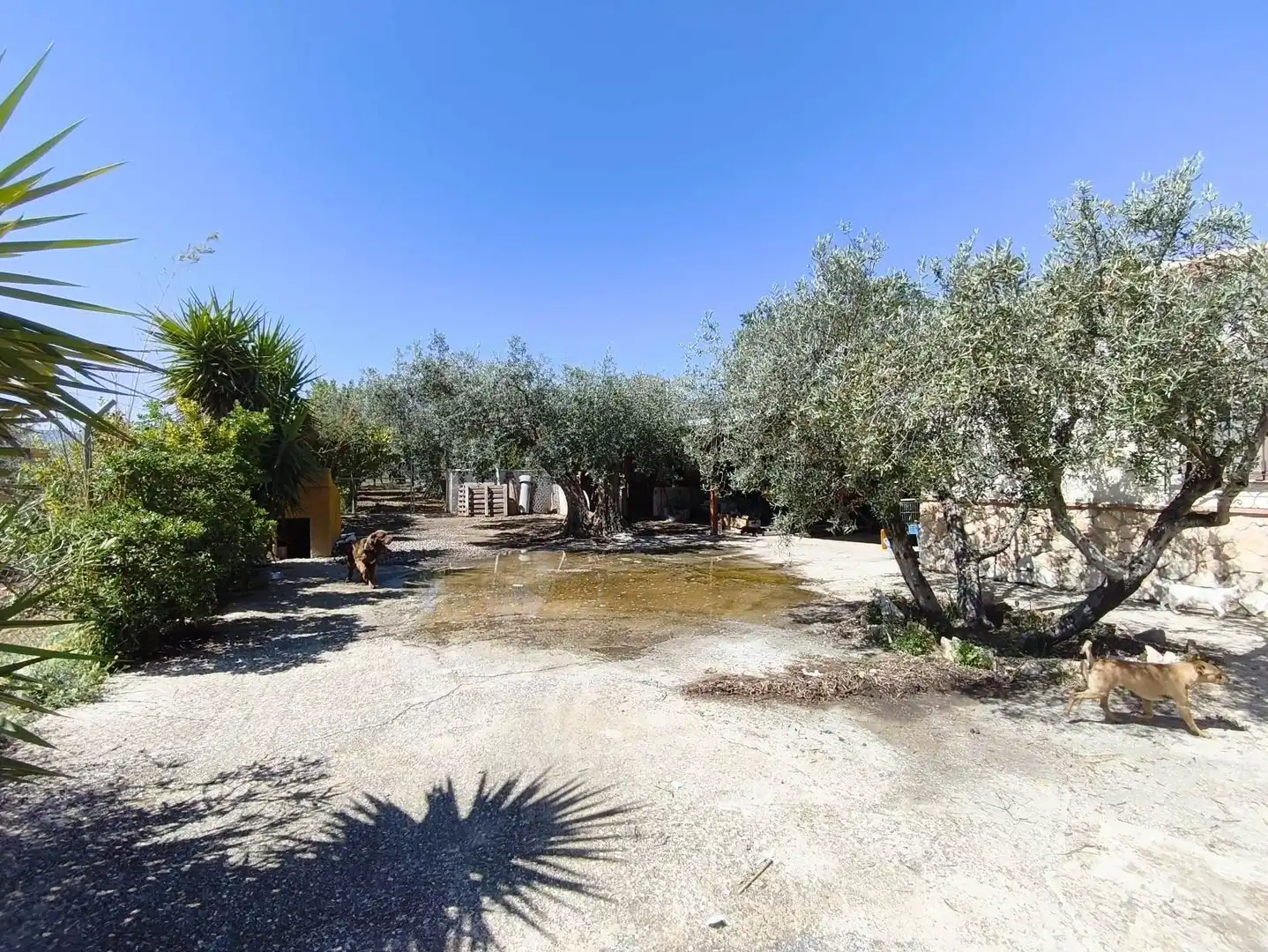 Finca rústica en venta en Vélez-Blanco con Aire acondicionado, Calefacción y Jardín privado