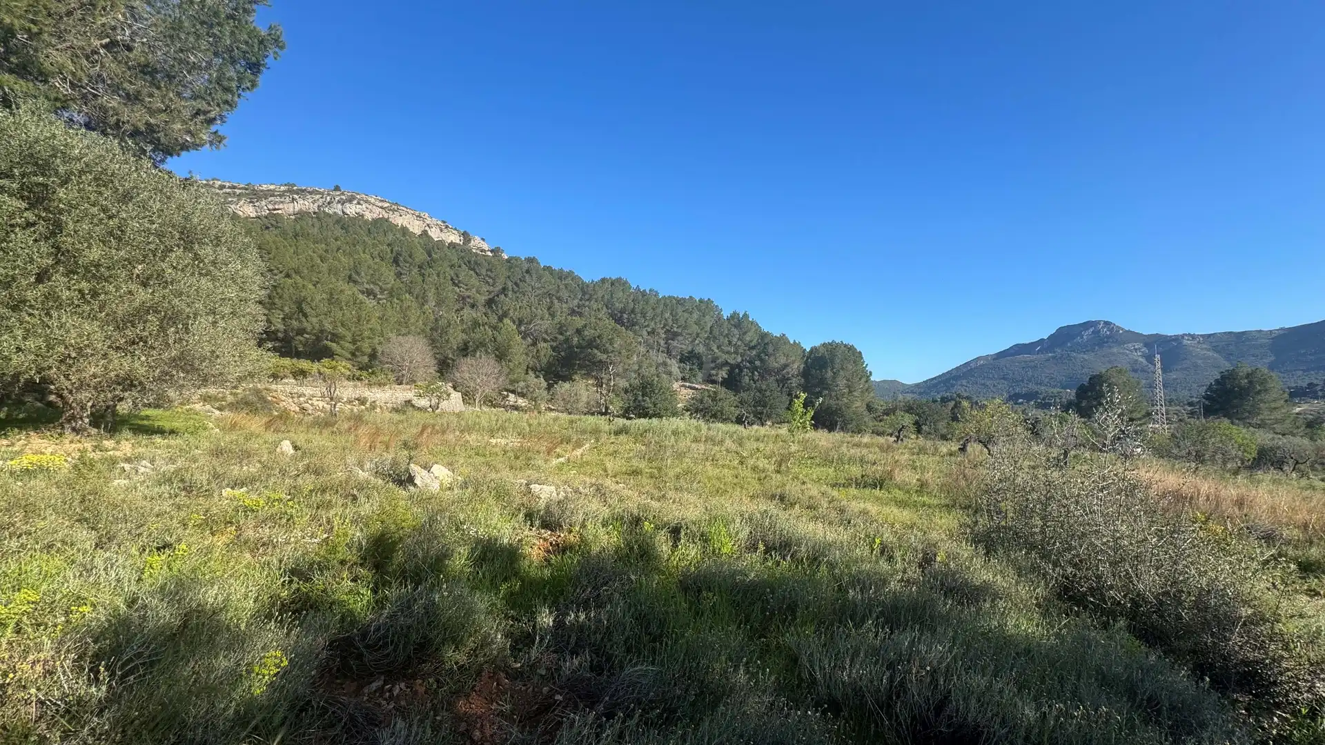 Residential for sale in Murla