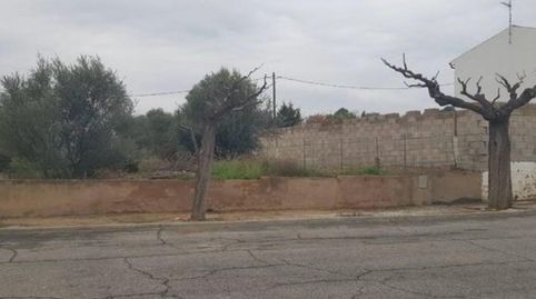 Immagine 1 dell'annuncio