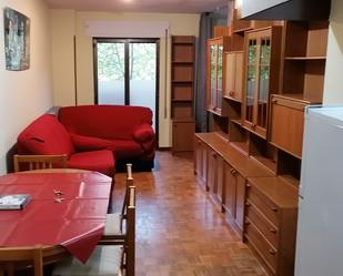 Sala d'estar de Apartament de lloguer en Salamanca Capital amb Balcó