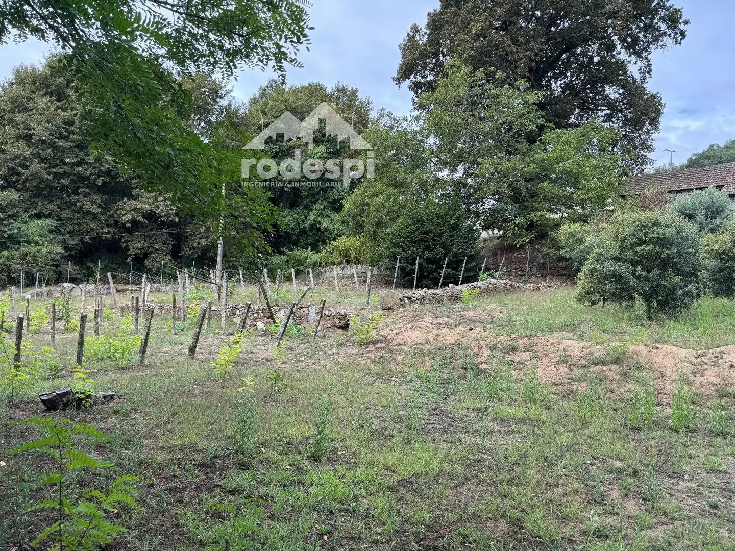 Others for sale in Cortegada, imagen 23