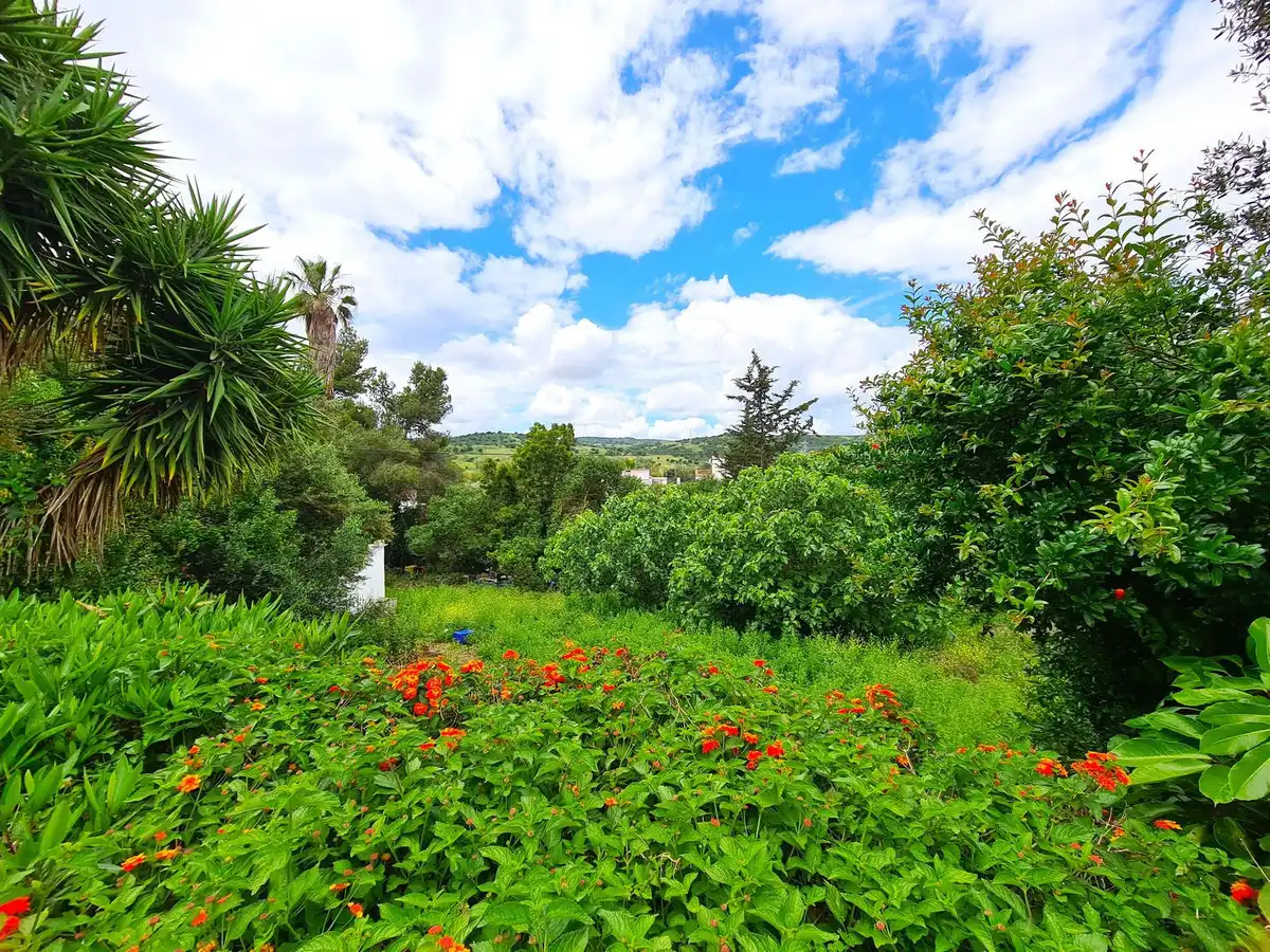 Casa o xalet en venda a San Martín del Tesorillo