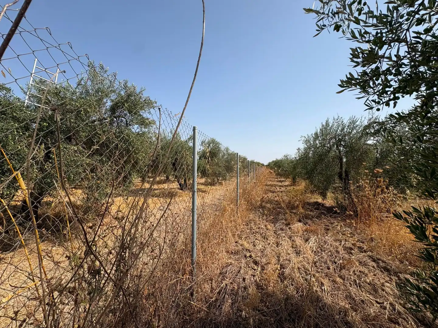 Terreno en venta en Espartinas