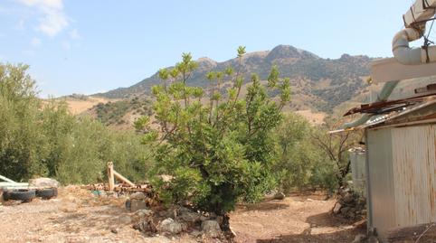 Photo 5 of Country house for sale in Ca-4223, 18, El Gastor, Cádiz