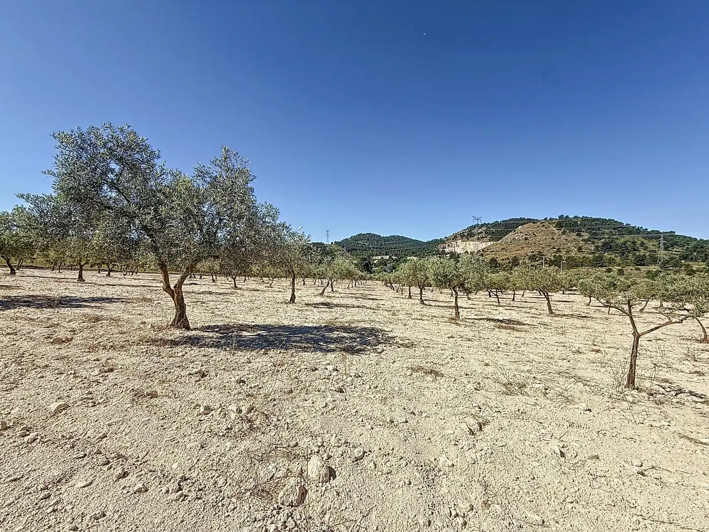 Terreno en venta en Biar