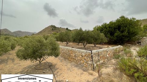 Foto 5 de Finca rústica en venta en Perín, Cartagena