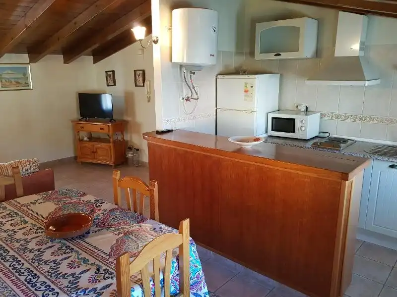 Kitchen of Flat for sale in Jerte  with Heating, Private garden and Furnished