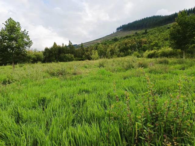 Terreno en Venta en Okondo